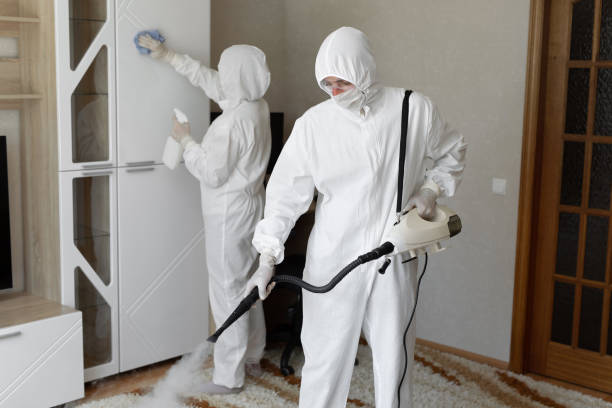 Best Toxic Mold Removal  in Westminster, TX