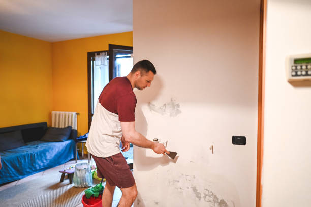 Attic Mold Removal in Westminster, TX